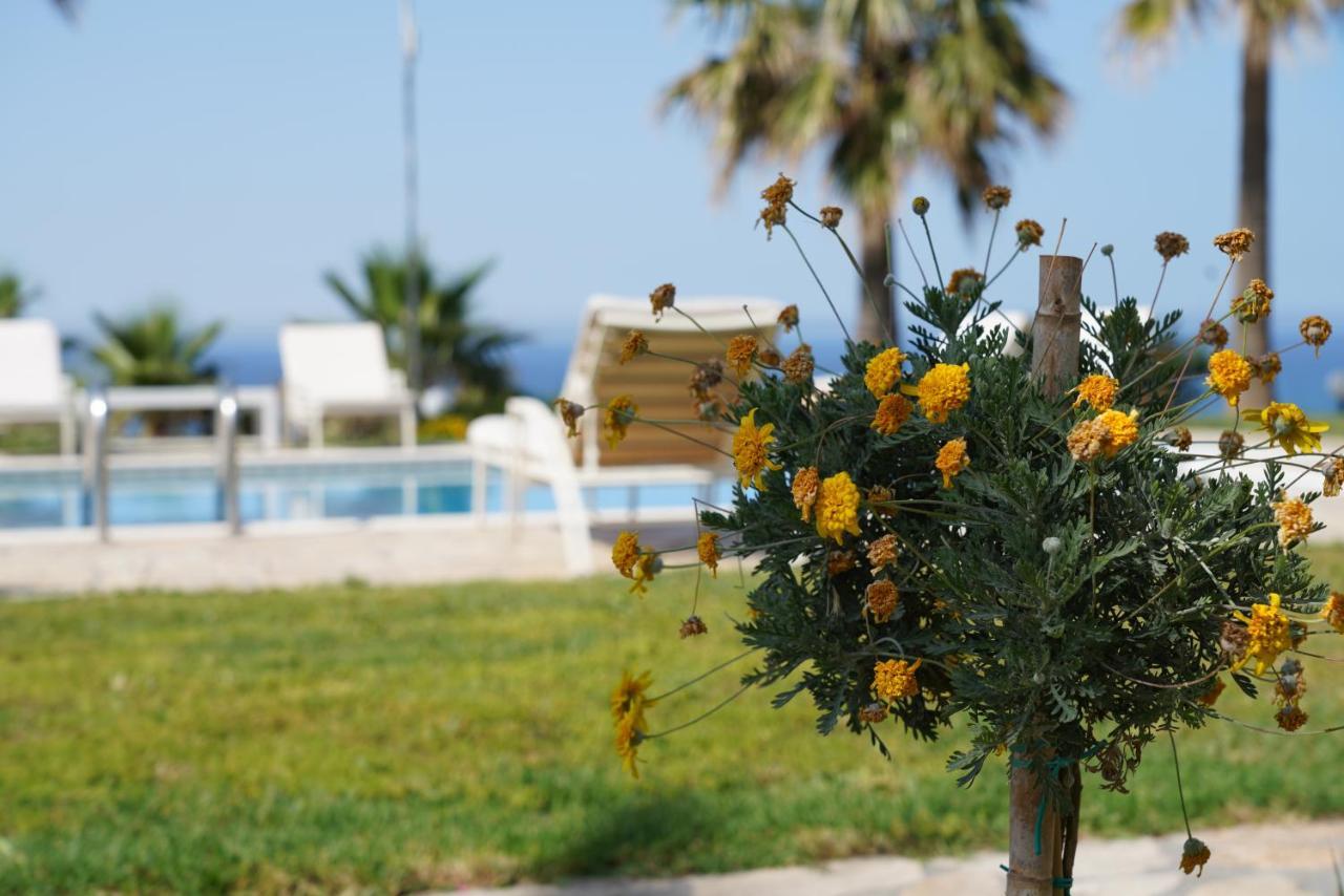 Aneria Suites Episkopi-Chania Exterior foto